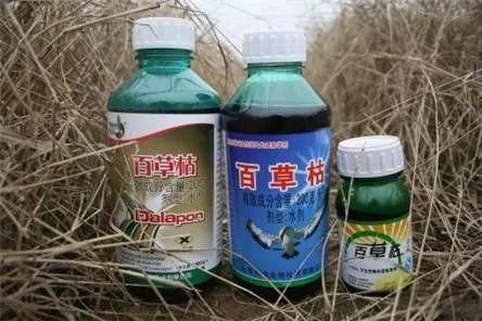 北京博睿毒检：从百草枯到敌草快，人类究竟在与谁为“敌”？